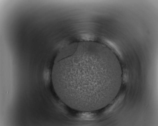 X0000094960121200712061319