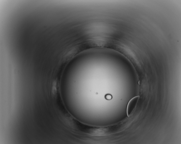 X0000094960122200712061319