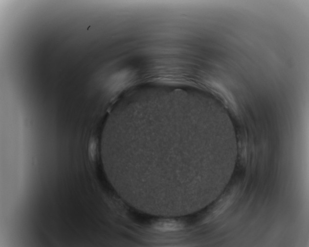 X0000094960123200712061319