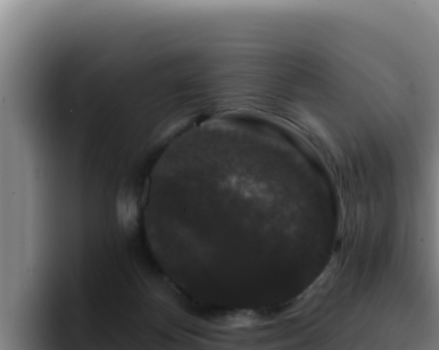 X0000094960124200712061319