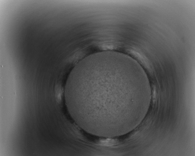 X0000094960125200712061319