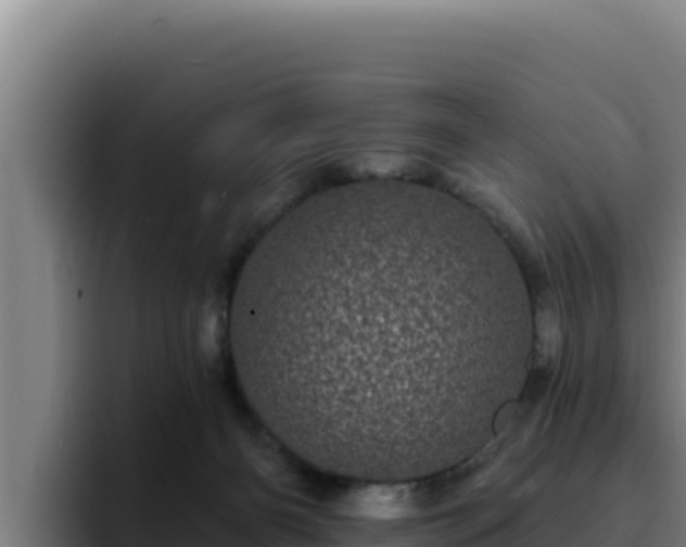 X0000094960126200712061319