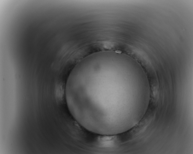 X0000094960129200712061319