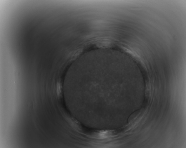 X0000094960130200712061319