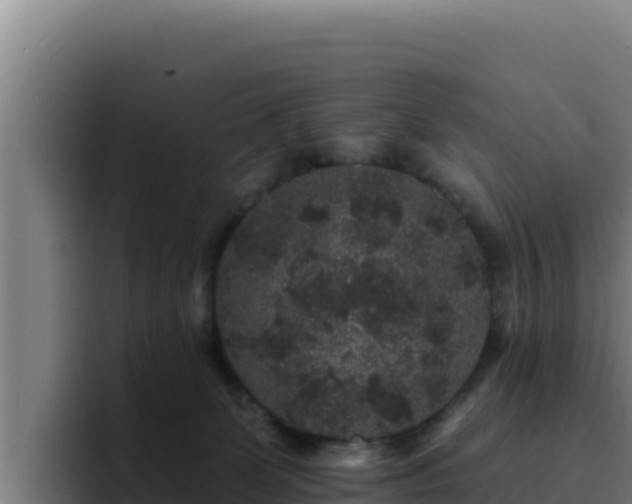 X0000094960131200712061319