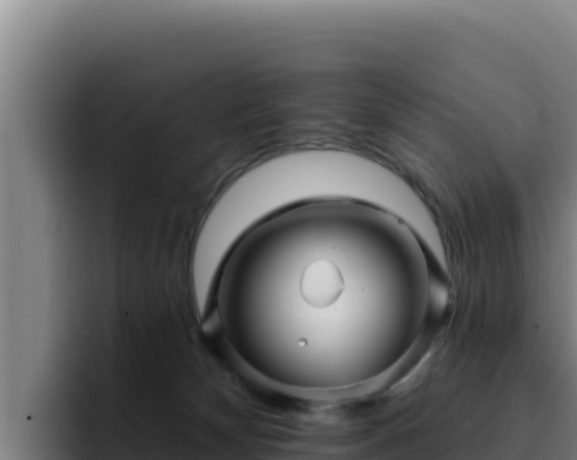 X0000094960132200712061319