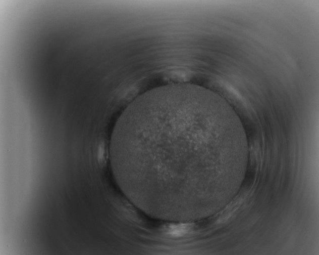 X0000094960134200712061319