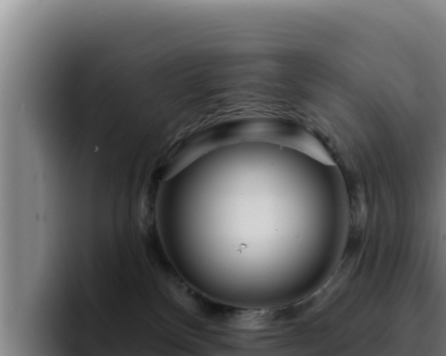 X0000094960136200712061319