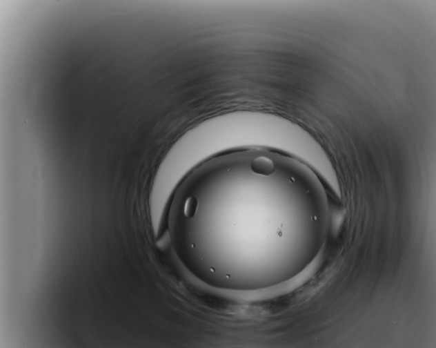 X0000094960137200712061319