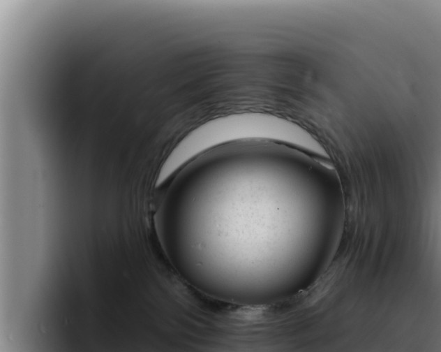 X0000094960138200712061319