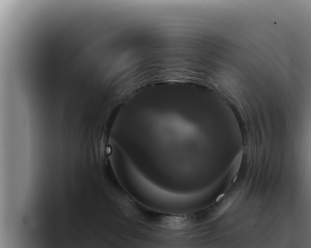 X0000094960139200712061319