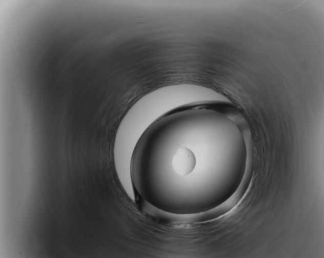 X0000094960144200712061319