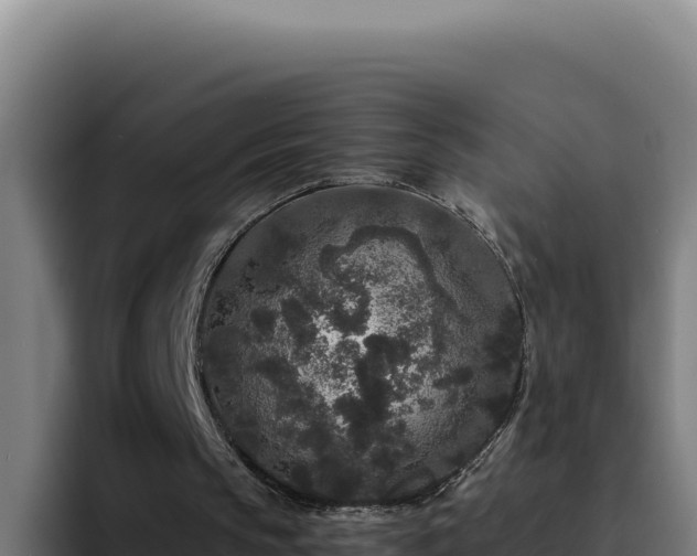 X0000094960145200712061318