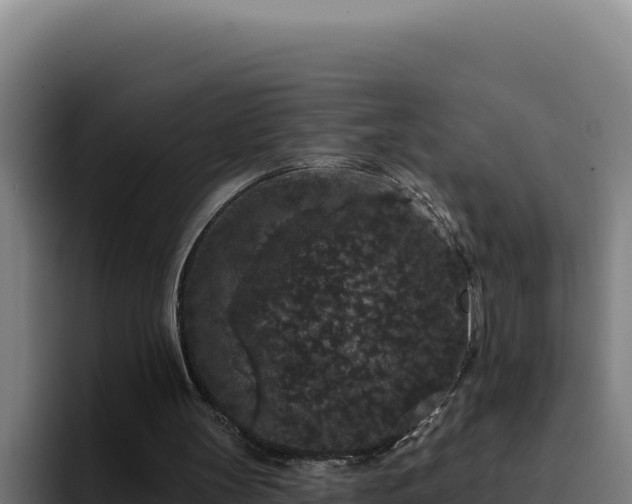 X0000094960147200712061318