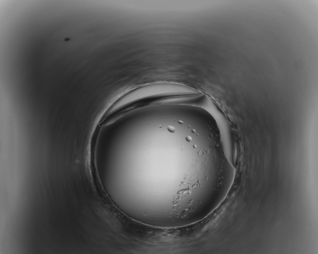 X0000094960148200712061318