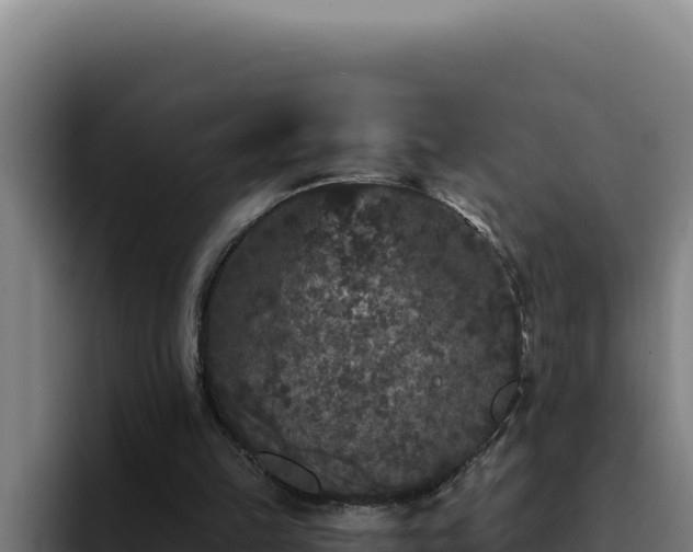 X0000094960149200712061318