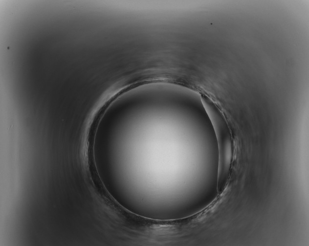 X0000094960150200712061318