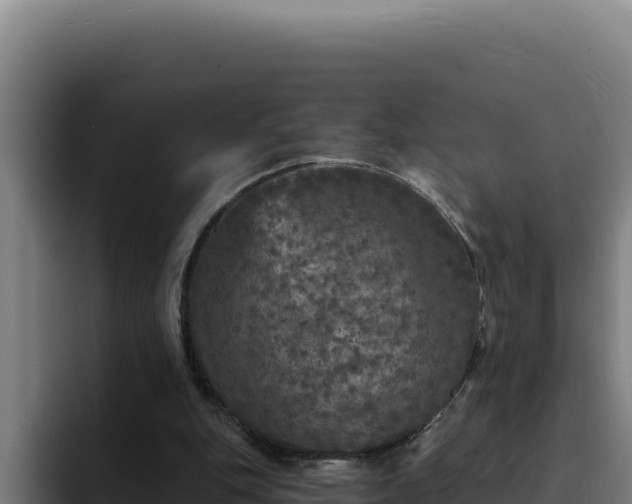 X0000094960151200712061318