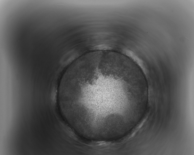 X0000094960153200712061318