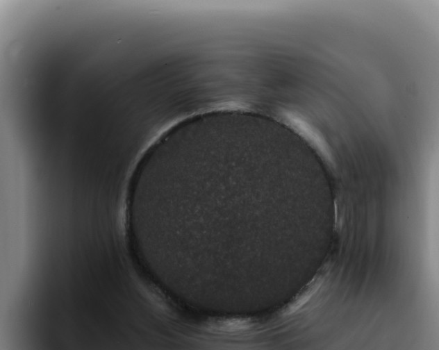 X0000094960156200712061318