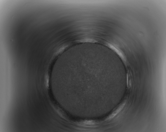 X0000094960157200712061318