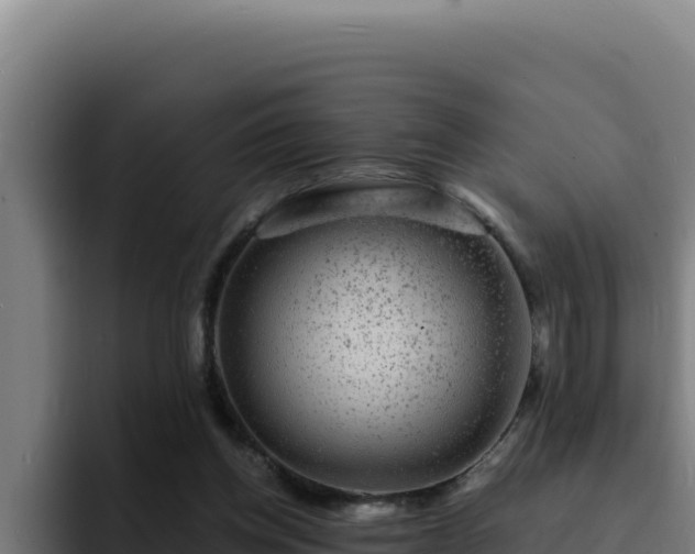 X0000094960158200712061318