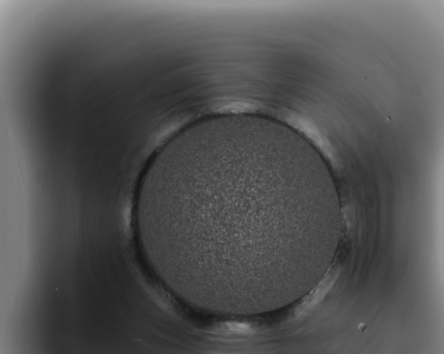 X0000094960159200712061318