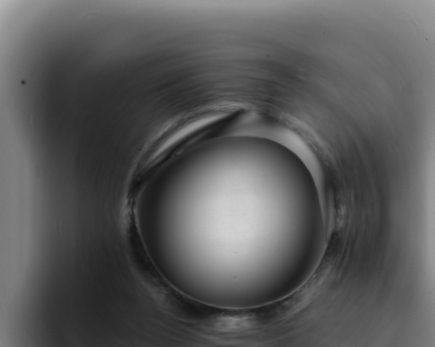 X0000094960160200712061318