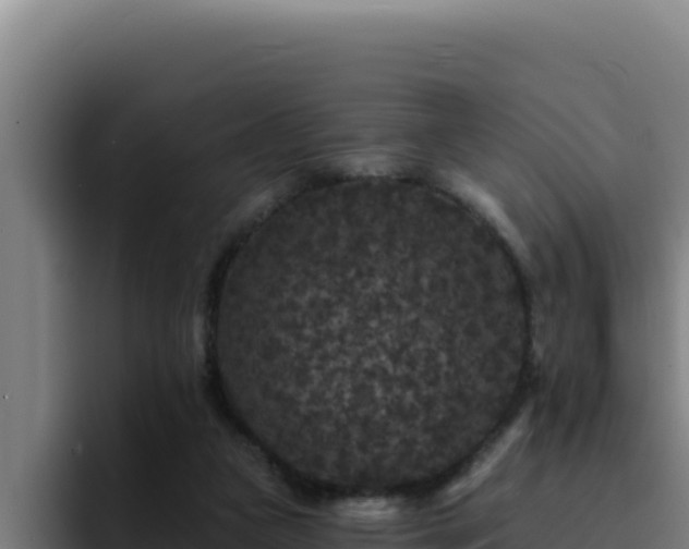 X0000094960161200712061318