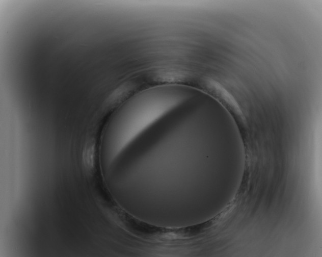 X0000094960163200712061318