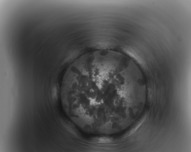 X0000094960165200712061319