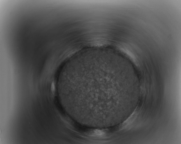 X0000094960166200712061319