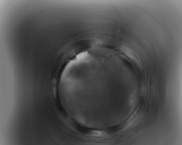 X0000094960167200712061319