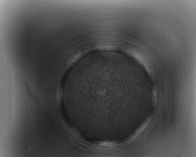 X0000094960168200712061319