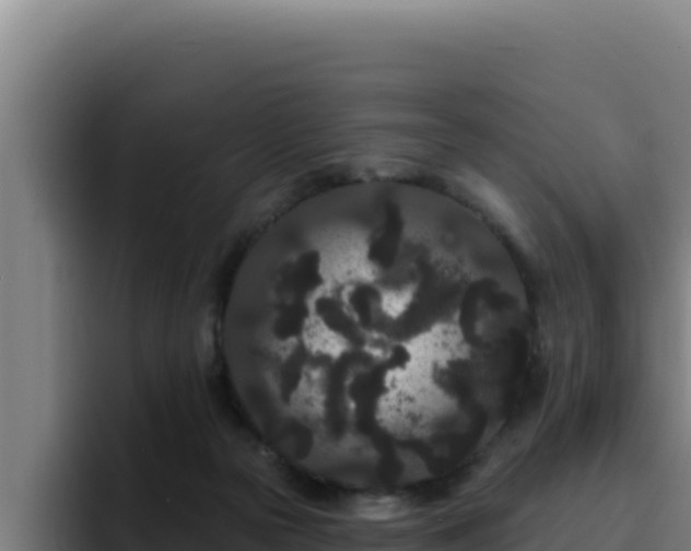 X0000094960169200712061319