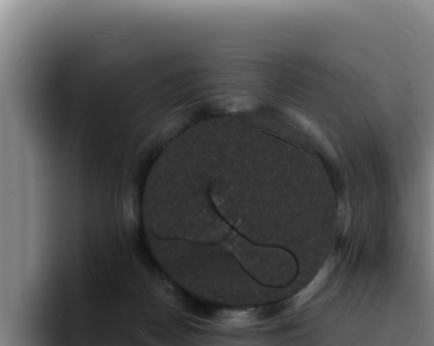 X0000094960170200712061319