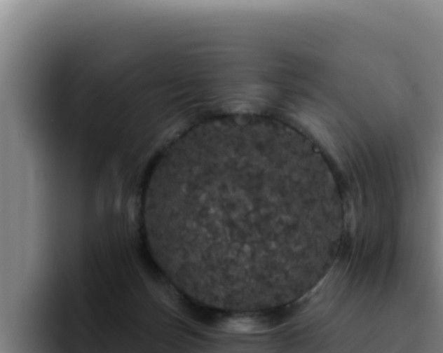 X0000094960171200712061319