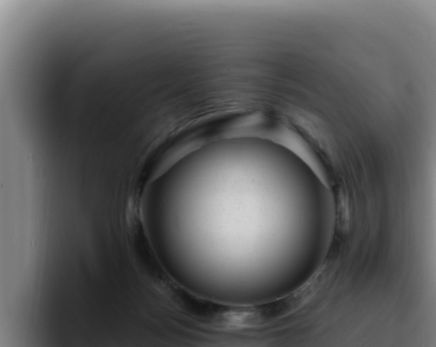 X0000094960172200712061319