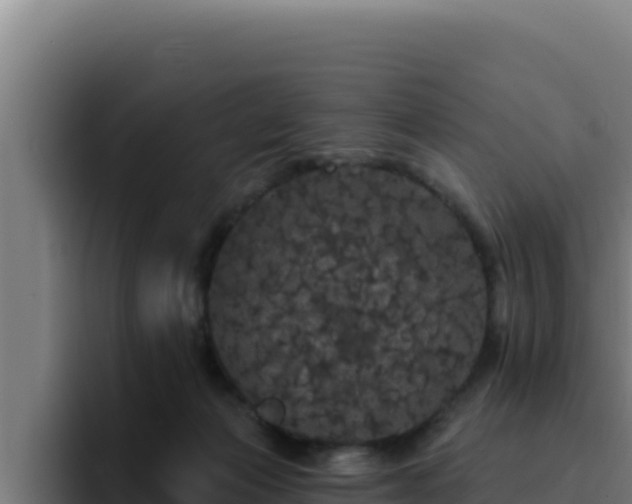 X0000094960173200712061319