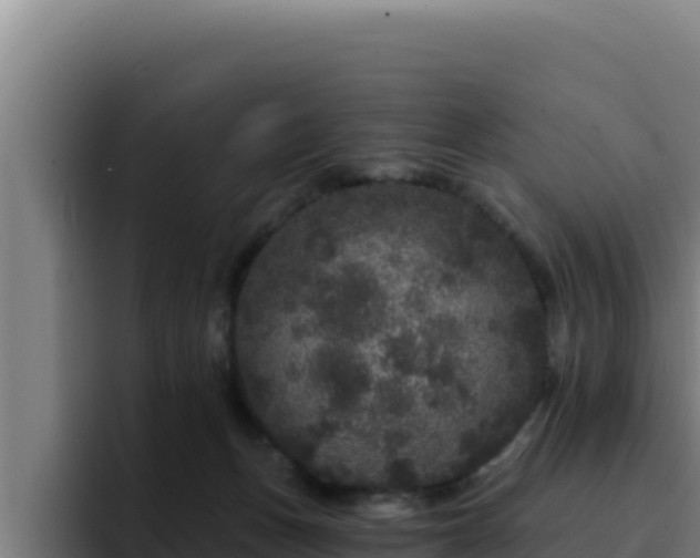 X0000094960175200712061319