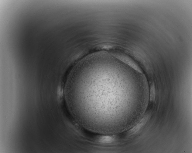 X0000094960176200712061319