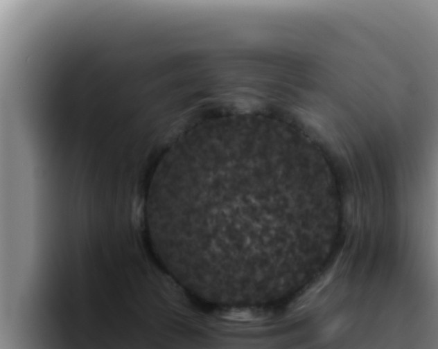 X0000094960177200712061319