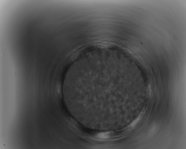 X0000094960178200712061319