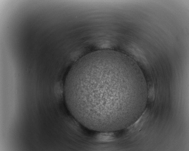 X0000094960179200712061319