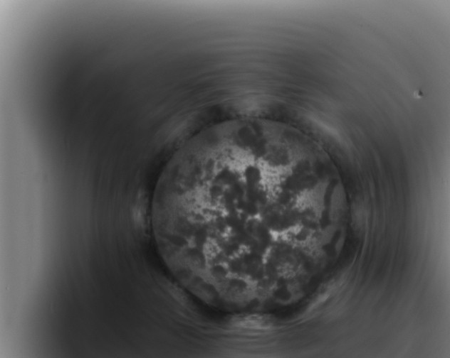 X0000094960181200712061319