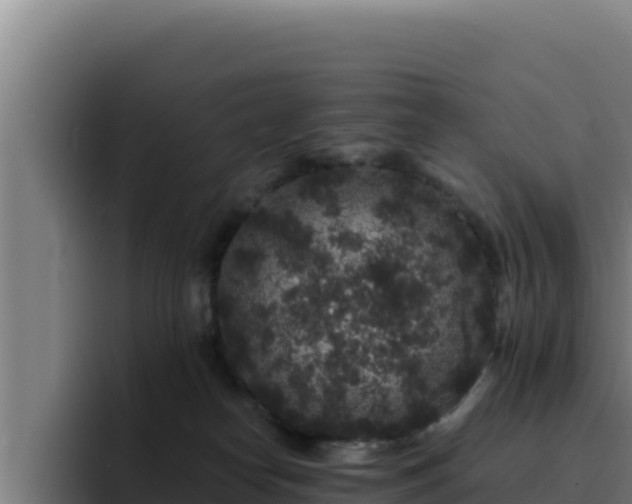 X0000094960182200712061319