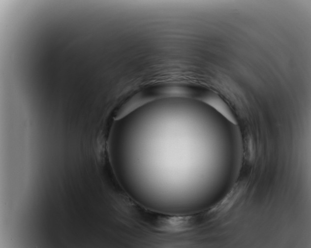 X0000094960184200712061319