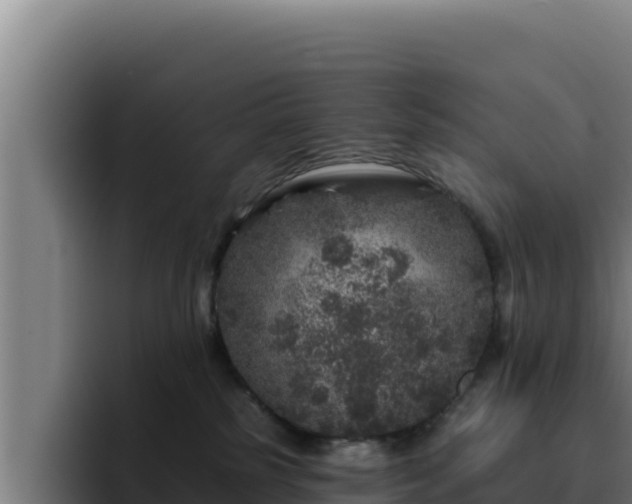 X0000094960185200712061319