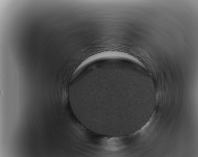 X0000094960186200712061319