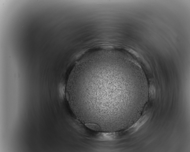 X0000094960188200712061319